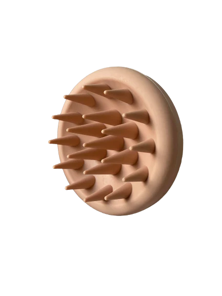 241156338_196256549236745_5633314774061764017_n-removebg-preview